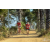 Team 24 / Raid Amazones Sri Lanka 2019 - J5 Bike and Run