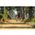 Team 07 / Raid Amazones Sri Lanka 2019 - J5 Bike and Run
