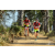 Team 33 / Raid Amazones Sri Lanka 2019 - J5 Bike and Run