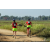 Team 33 / Raid Amazones Sri Lanka 2019 - J5 Bike and Run