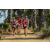 Team 107 / Raid Amazones Sri Lanka 2019 - J5 Bike and Run