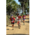 Team 12 / Raid Amazones Sri Lanka 2019 - J5 Bike and Run