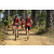 Team 25 / Raid Amazones Sri Lanka 2019 - J5 Bike and Run
