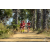 Team 101 / Raid Amazones Sri Lanka 2019 - J5 Bike and Run