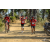 Team 102 / Raid Amazones Sri Lanka 2019 - J5 Bike and Run