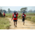 Team 102 / Raid Amazones Sri Lanka 2019 - J5 Bike and Run