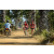 Team 50 / Raid Amazones Sri Lanka 2019 - J5 Bike and Run