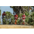 Team 103 / Raid Amazones Sri Lanka 2019 - J5 Bike and Run