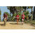 Team 103 / Raid Amazones Sri Lanka 2019 - J5 Bike and Run