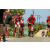 Team 29 / Raid Amazones Sri Lanka 2019 - J5 Bike and Run