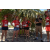 Team 111 / Raid Amazones Sri Lanka 2019 - J5 Bike and Run