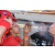 Team 143 / Raid Amazones Sri Lanka 2019 - J5 Bike and Run