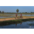 Team 24 / Raid Amazones Sri Lanka 2019 - J5 Bike and Run
