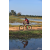Team 07 / Raid Amazones Sri Lanka 2019 - J5 Bike and Run