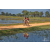 Team 33 / Raid Amazones Sri Lanka 2019 - J5 Bike and Run