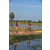 Team 33 / Raid Amazones Sri Lanka 2019 - J5 Bike and Run