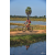 Team 33 / Raid Amazones Sri Lanka 2019 - J5 Bike and Run