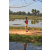 Team 33 / Raid Amazones Sri Lanka 2019 - J5 Bike and Run