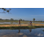 Team 06 / Raid Amazones Sri Lanka 2019 - J5 Bike and Run