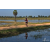 Team 114 / Raid Amazones Sri Lanka 2019 - J5 Bike and Run
