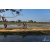 Team 12 / Raid Amazones Sri Lanka 2019 - J5 Bike and Run