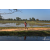 Team 34 / Raid Amazones Sri Lanka 2019 - J5 Bike and Run