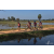 Team 01 / Raid Amazones Sri Lanka 2019 - J5 Bike and Run