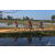 Team 08 / Raid Amazones Sri Lanka 2019 - J5 Bike and Run