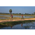 Team 36 / Raid Amazones Sri Lanka 2019 - J5 Bike and Run