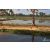 Team 120 / Raid Amazones Sri Lanka 2019 - J5 Bike and Run