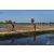 Team 09 / Raid Amazones Sri Lanka 2019 - J5 Bike and Run