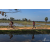Team 09 / Raid Amazones Sri Lanka 2019 - J5 Bike and Run