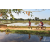 Team 14 / Raid Amazones Sri Lanka 2019 - J5 Bike and Run