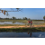 Team 28 / Raid Amazones Sri Lanka 2019 - J5 Bike and Run
