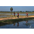 Team 105 / Raid Amazones Sri Lanka 2019 - J5 Bike and Run