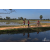 Team 105 / Raid Amazones Sri Lanka 2019 - J5 Bike and Run