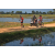 Team 04 / Raid Amazones Sri Lanka 2019 - J5 Bike and Run