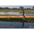 Team 17 / Raid Amazones Sri Lanka 2019 - J5 Bike and Run
