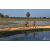 Team 38 / Raid Amazones Sri Lanka 2019 - J5 Bike and Run