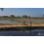 Team 38 / Raid Amazones Sri Lanka 2019 - J5 Bike and Run