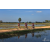 Team 03 / Raid Amazones Sri Lanka 2019 - J5 Bike and Run