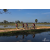Team 03 / Raid Amazones Sri Lanka 2019 - J5 Bike and Run