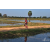 Team 30 / Raid Amazones Sri Lanka 2019 - J5 Bike and Run