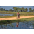 Team 30 / Raid Amazones Sri Lanka 2019 - J5 Bike and Run