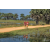 Team 101 / Raid Amazones Sri Lanka 2019 - J5 Bike and Run