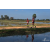 Team 101 / Raid Amazones Sri Lanka 2019 - J5 Bike and Run
