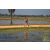 Team 50 / Raid Amazones Sri Lanka 2019 - J5 Bike and Run
