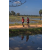 Team 135 / Raid Amazones Sri Lanka 2019 - J5 Bike and Run