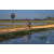 Team 135 / Raid Amazones Sri Lanka 2019 - J5 Bike and Run