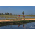 Team 05 / Raid Amazones Sri Lanka 2019 - J5 Bike and Run